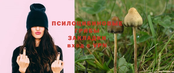 соль ск Беломорск