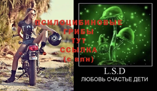 соль ск Беломорск